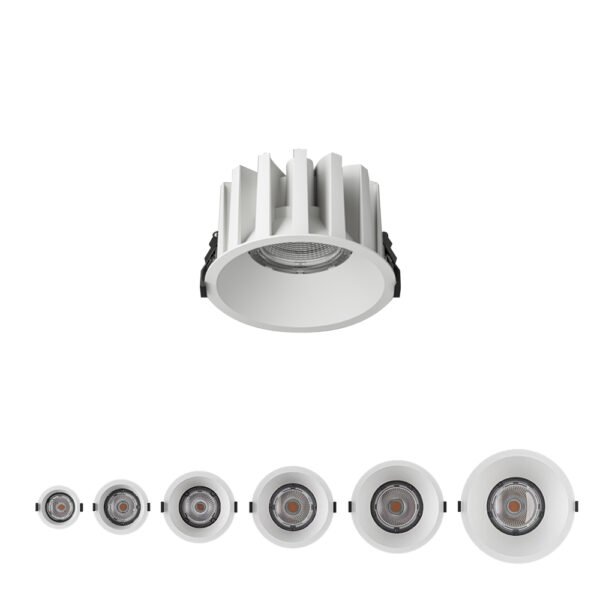 Waterproof Downlight