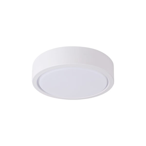 Surface Mounted Downlight
