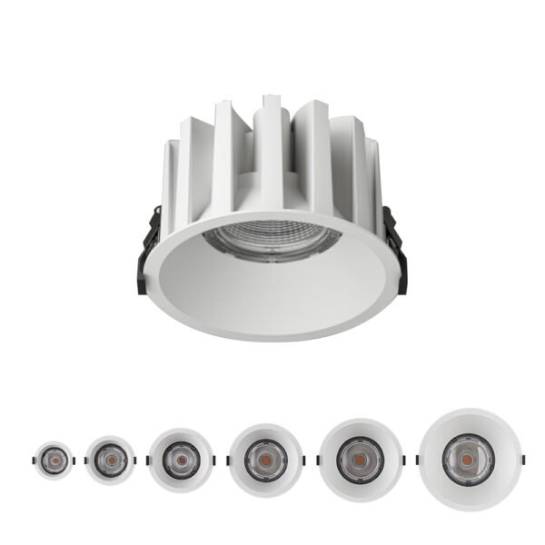 Waterproof Downlight