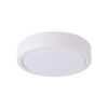 Surface Mounted Downlight