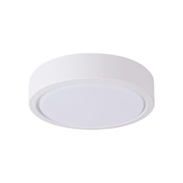 Surface Mounted Downlight