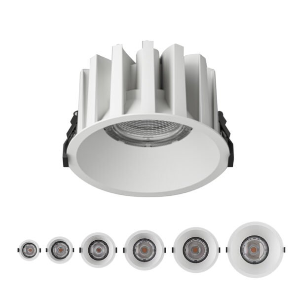 Waterproof Downlight
