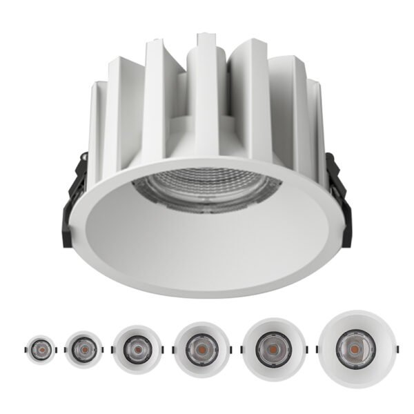 Waterproof Downlight