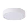 Surface Mounted Downlight