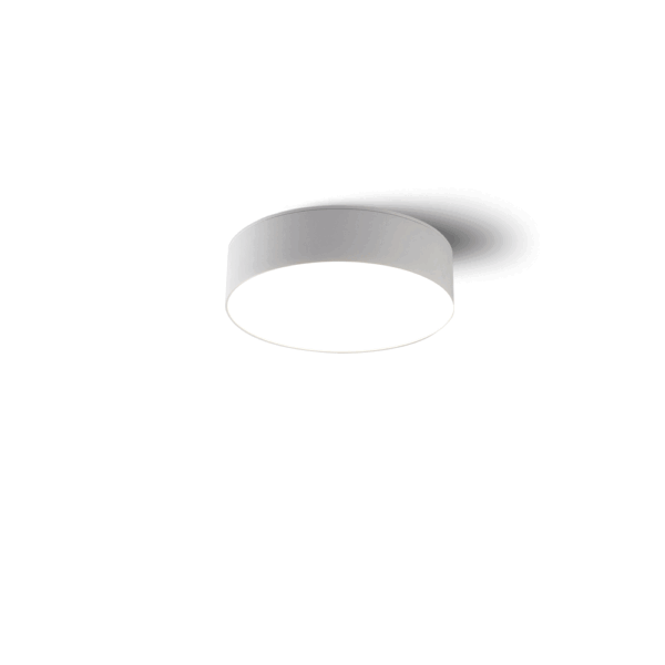 8880-2 Surface Mounted Ceiling Light