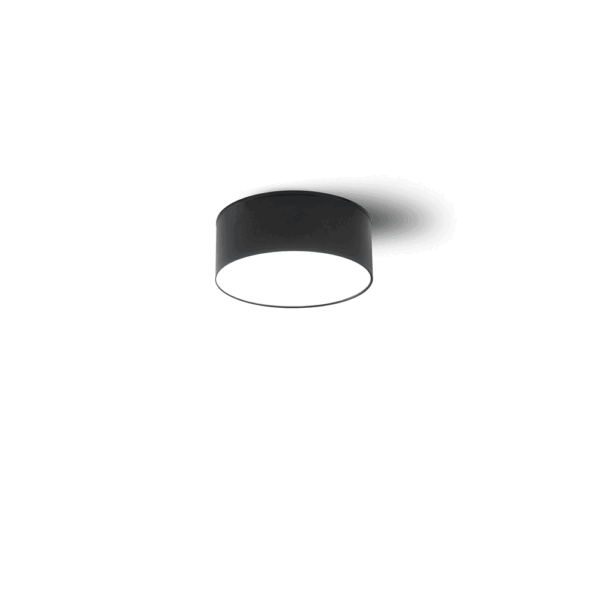 8880-3 Surface Mounted Ceiling Light