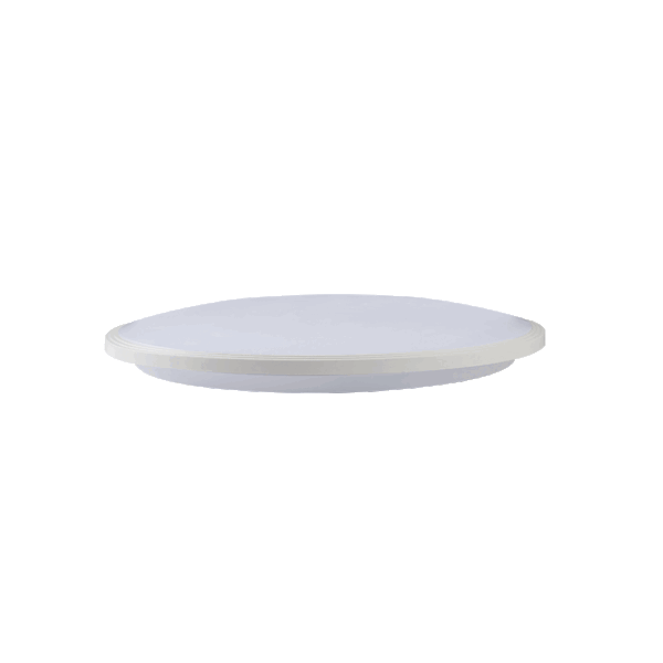 C7400-1 Surface Mounted Ceiling Light