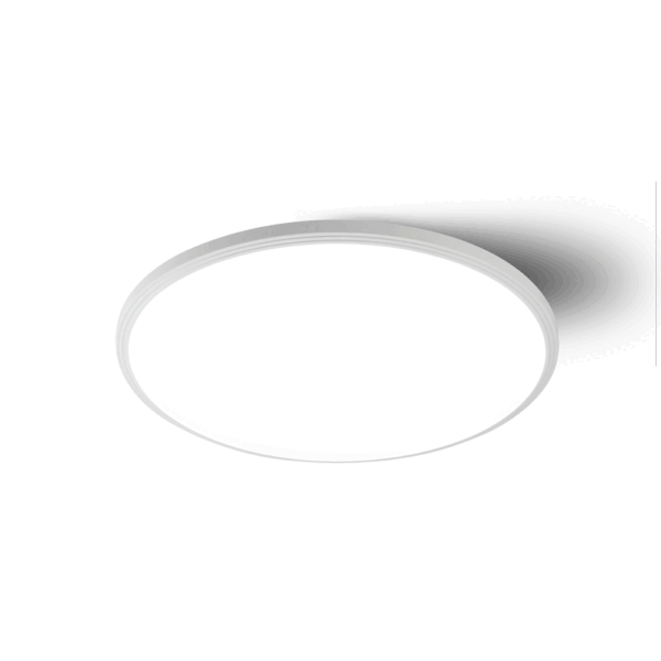 C7400-3 Surface Mounted Ceiling Light