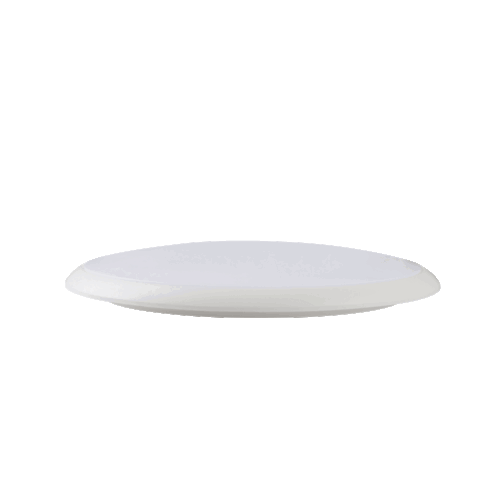 Surface Mounted Ceiling Light