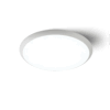 Surface Mounted Ceiling Light