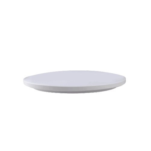 Surface Mounted Ceiling Light