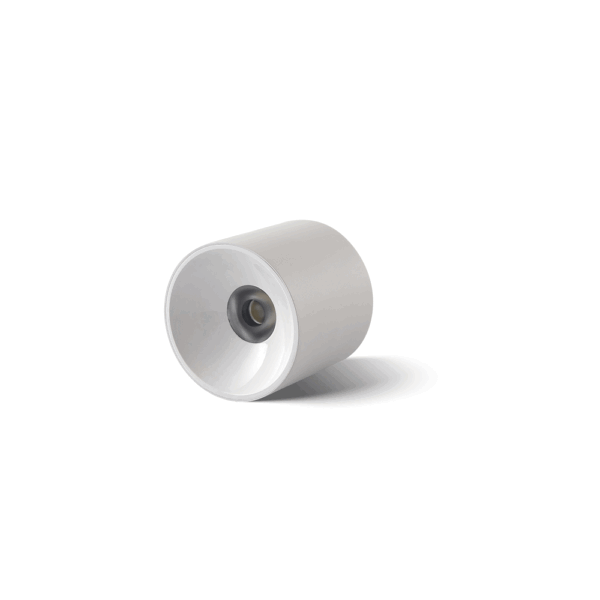 DSC_5234 Surface Mounted Ceiling Light