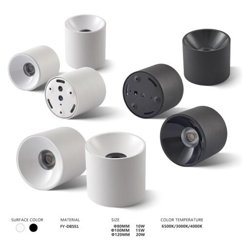 Surface Mounted Ceiling Light