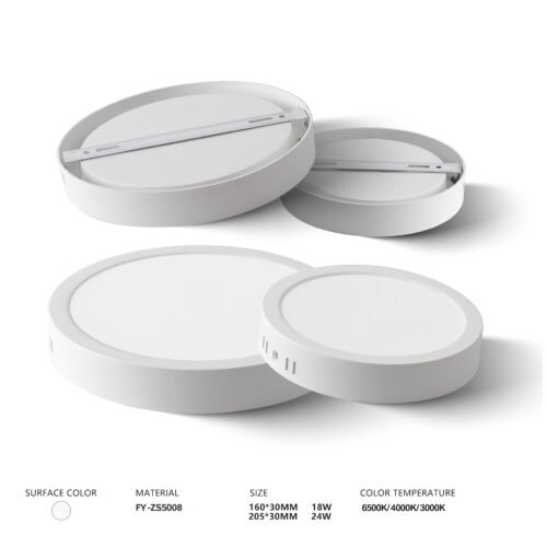 Surface Mounted Ceiling Light